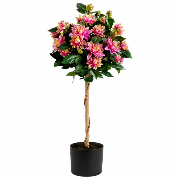 DRZEWKO LILII W DONICZCE 110CM